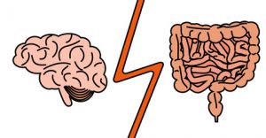 Bauchgehirn Neurogastroenterologie Dickdarm Dünndarm Immunsystem Hara Dantian
