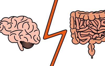 Zugang zum sog. Bauchgehirn bekommen