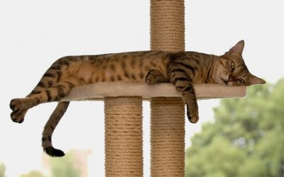 Arbeitgeber darf sich mit der Genehmigung von Urlaub nicht allzu lange Zeit lassen