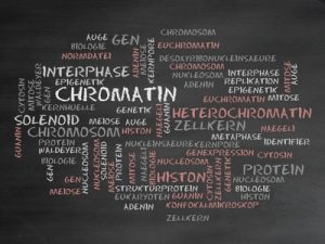 Epigenetik Prägung Zelle Coaching Dornhan