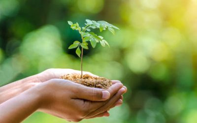 Wann endet die Nacht?