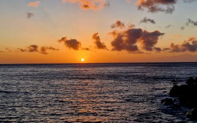 3 Wochen Urlaub? Gibt´s bei uns nicht!